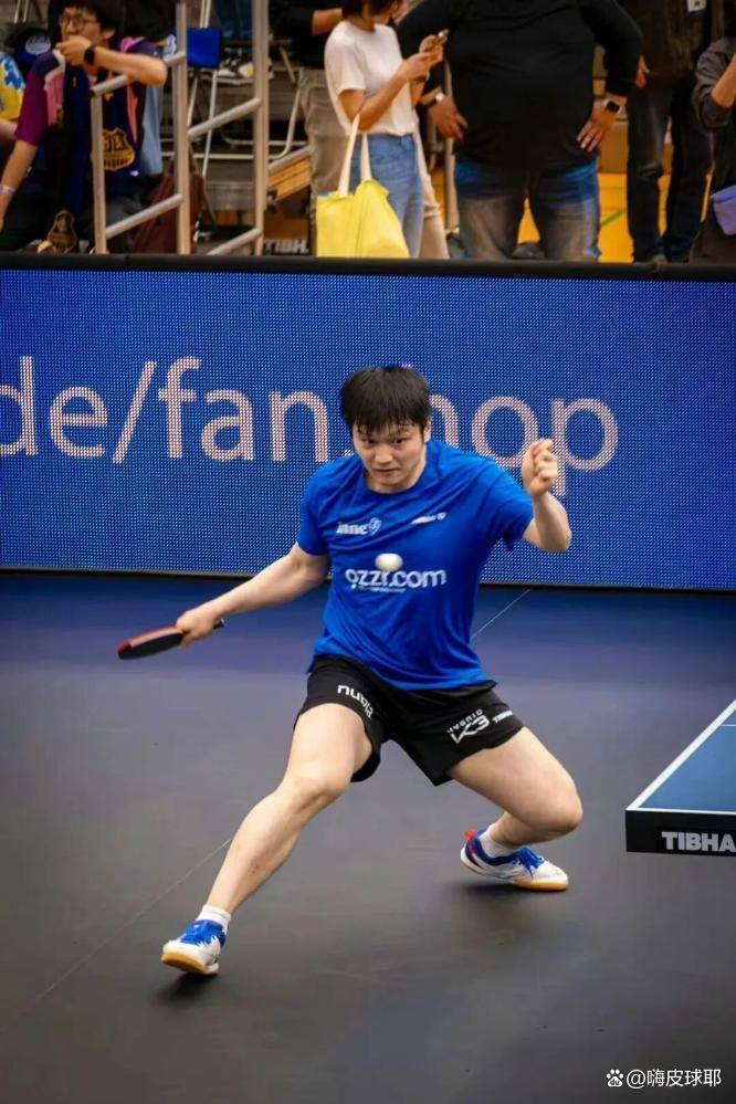 包含比利时乒乓球队险胜德国乒乓球队，樊振东绝境逆转的词条