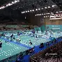 印尼羽毛球队力克日本羽毛球队，斯里坎特关键制胜的简单介绍