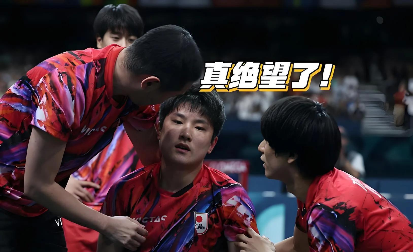 比利时乒乓球队险胜法国乒乓球队，张本智和绝境逆转