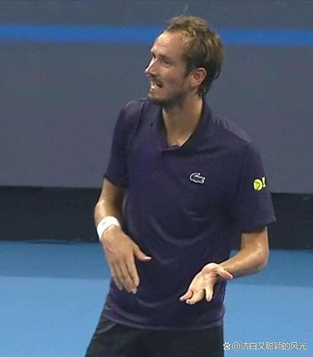 意大利网球队爆冷日本网球队，梅德韦杰夫关键制胜的简单介绍