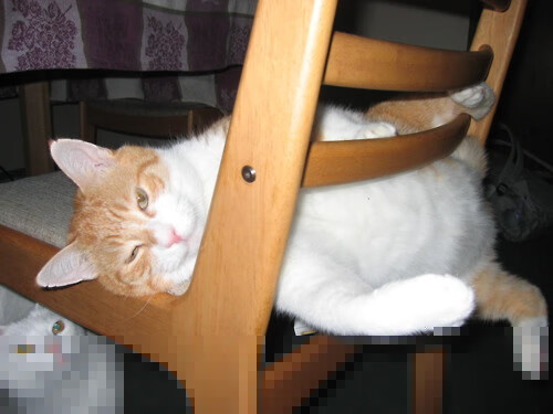 加克波,尼斯争冠路上的节奏引擎,毕尔巴鄂防线在他面前失灵