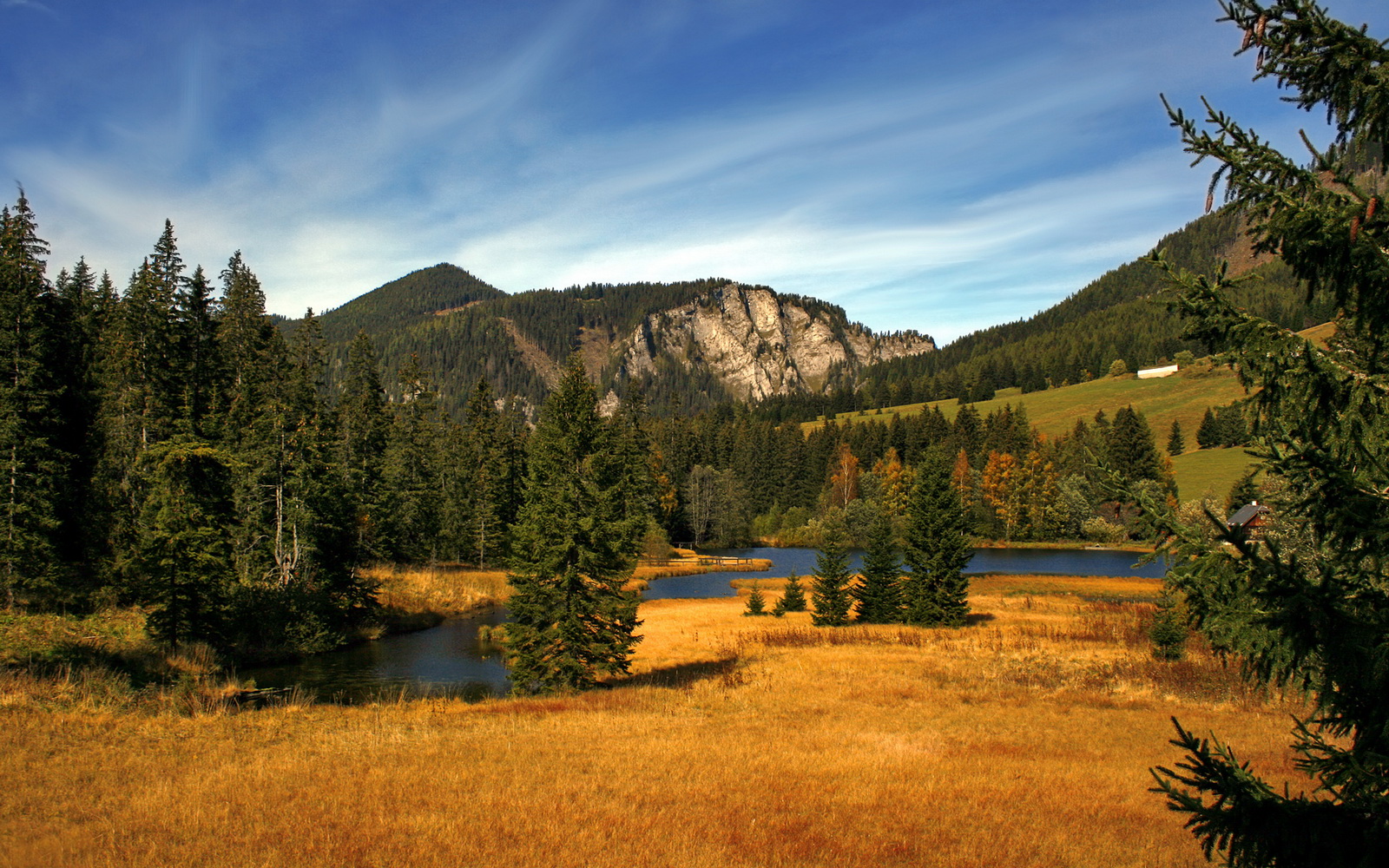战报疑云,弗拉霍维奇现身非洲?一次不可能的防守与一场不存在的比赛