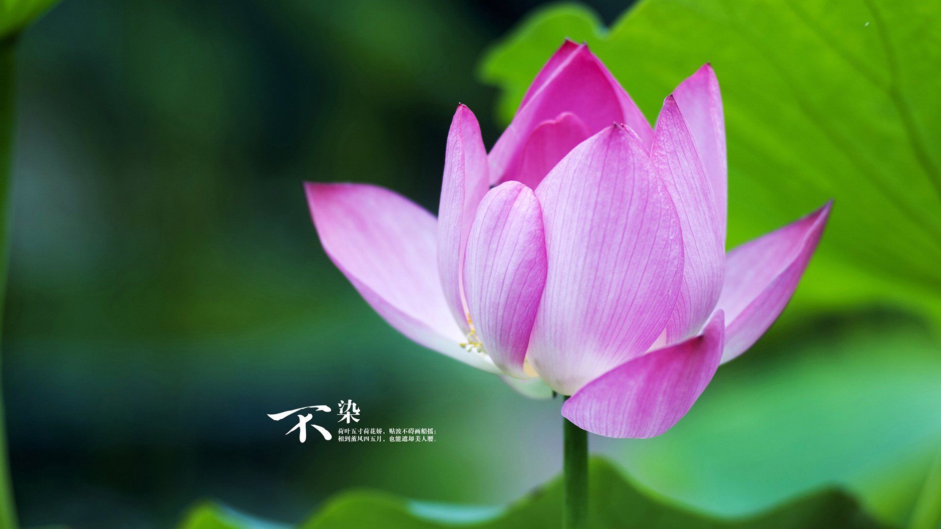 偶然与必然，体育史诗的双重奏