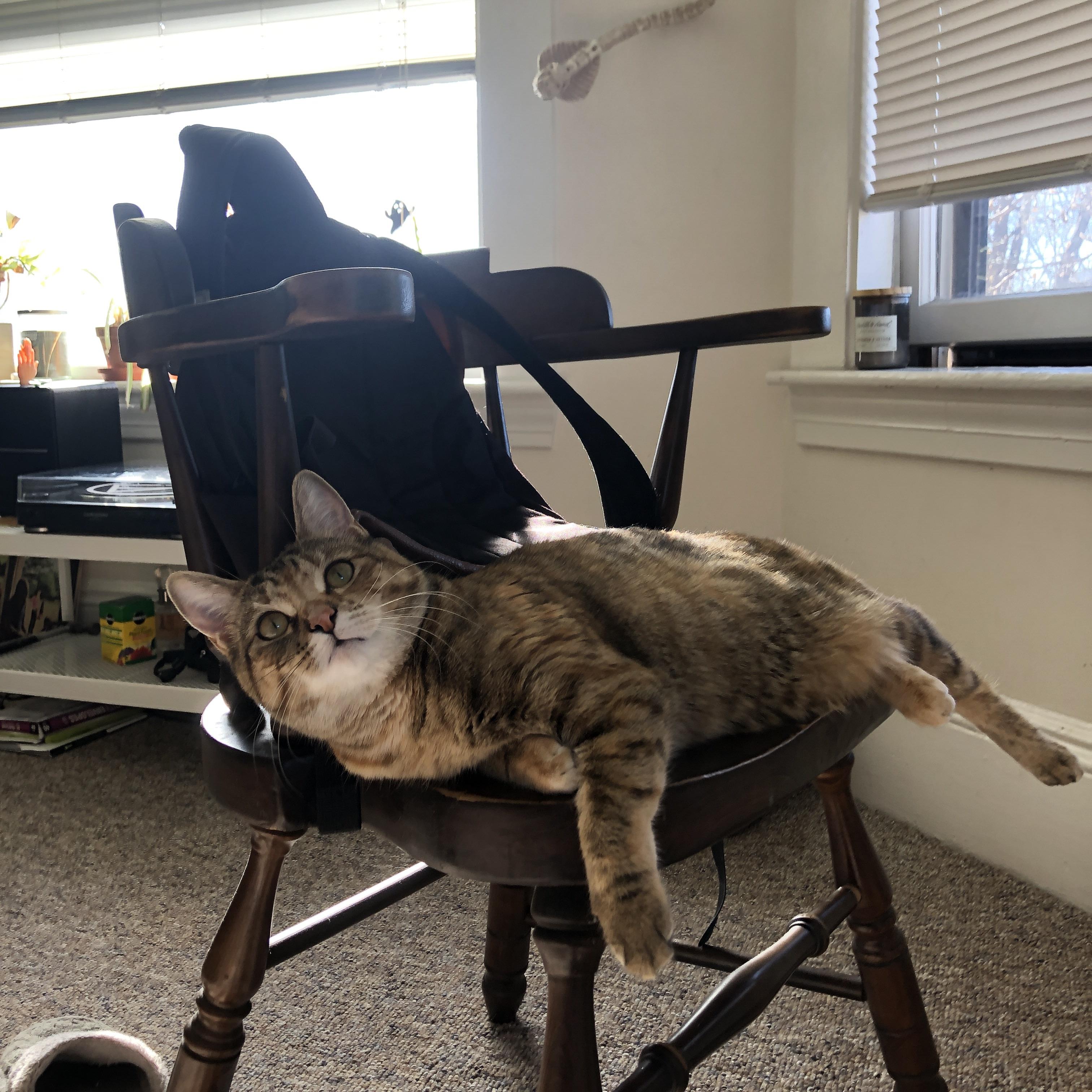 门将之夜,奥纳纳以钢铁手指,在光明与阴影的交界处封存悬念