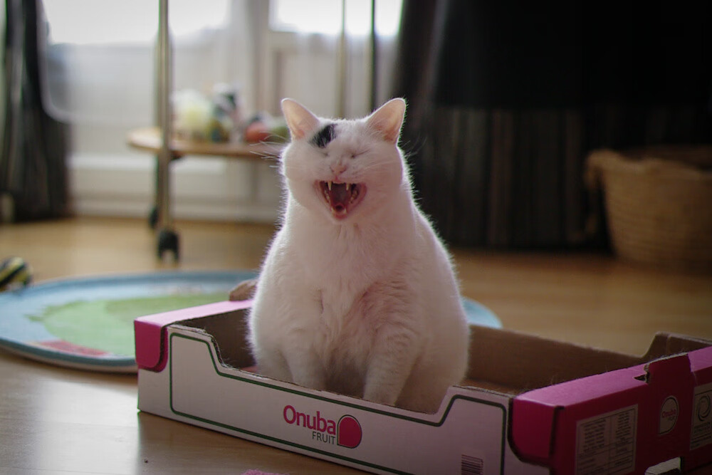 尤文热身赛击败突尼斯,卡塞米罗2026世界杯接管比赛的序曲