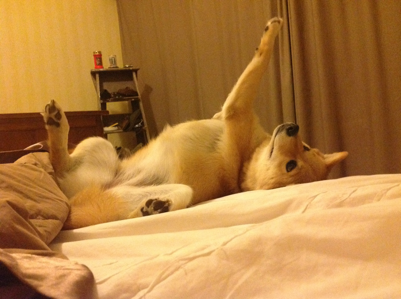 冰与火，银与血—当F1引擎点燃平行时空的战栗