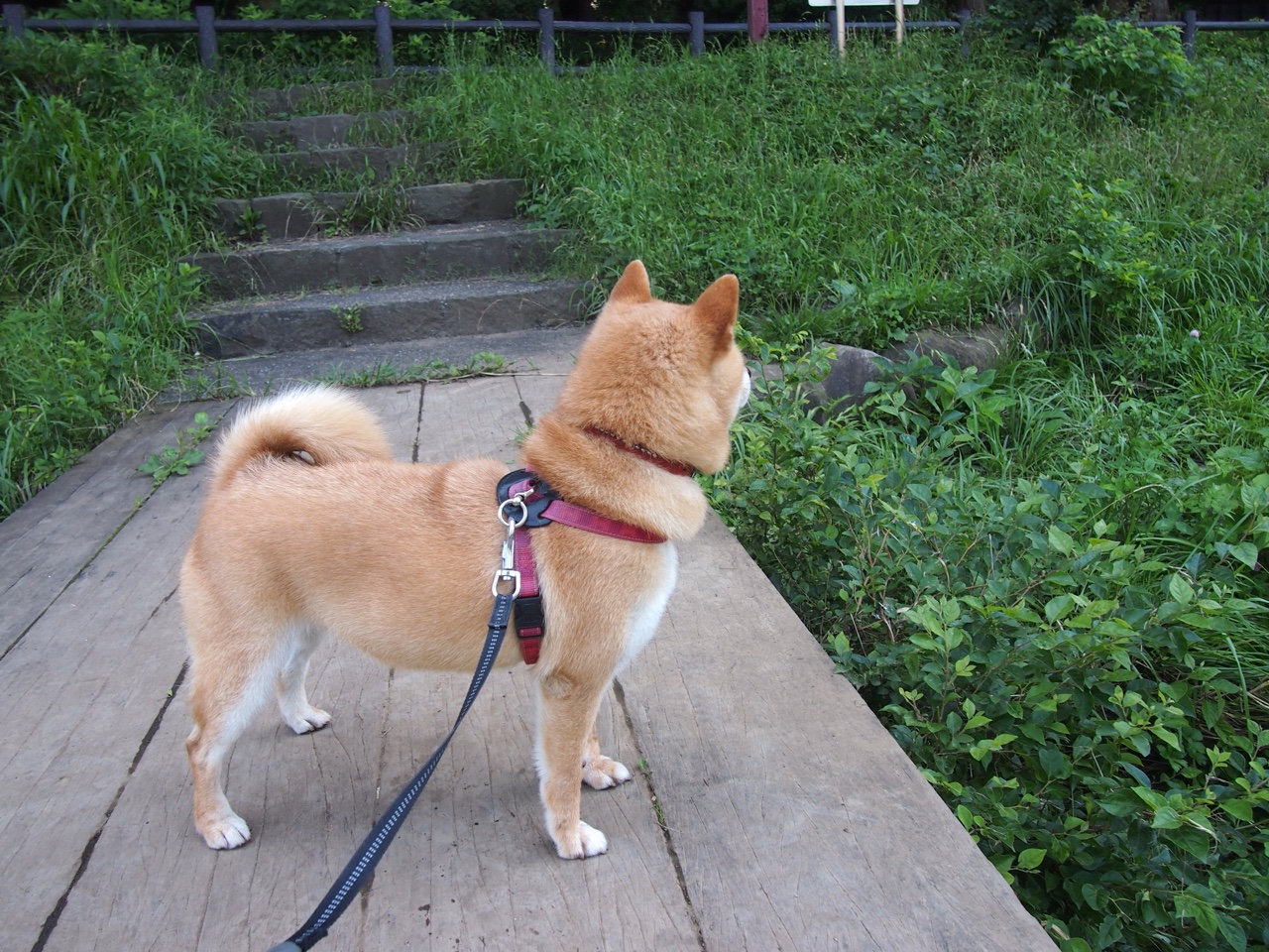 他不是救世主,他只是叫安东尼·爱德华兹