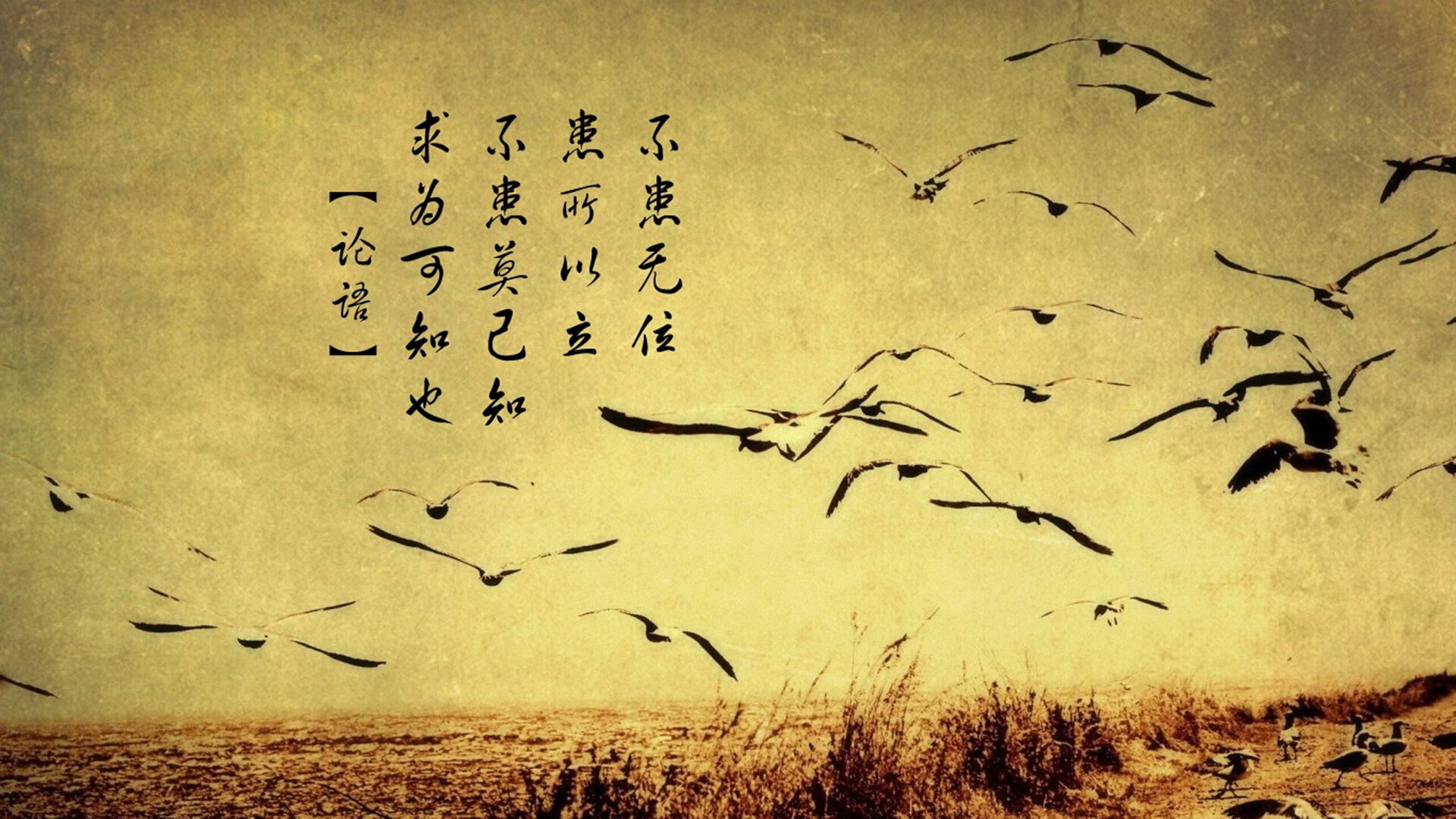 战术的共鸣,从德甲争冠焦点战到洪都拉斯压制尼日利亚的足球智慧