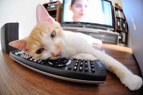 若日尼奥的节拍器魔法,西班牙对阵卡塔尔的战术心脏