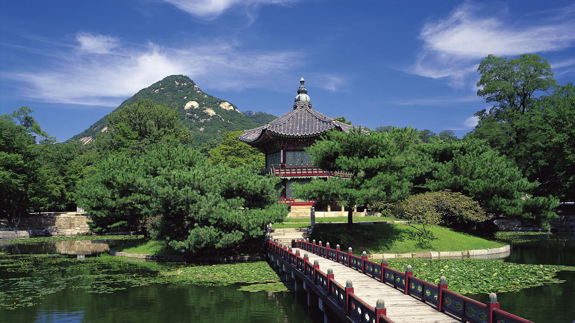 篮球之夜，火箭一波流击溃独行侠，约基奇欧冠半决赛上演个人秀