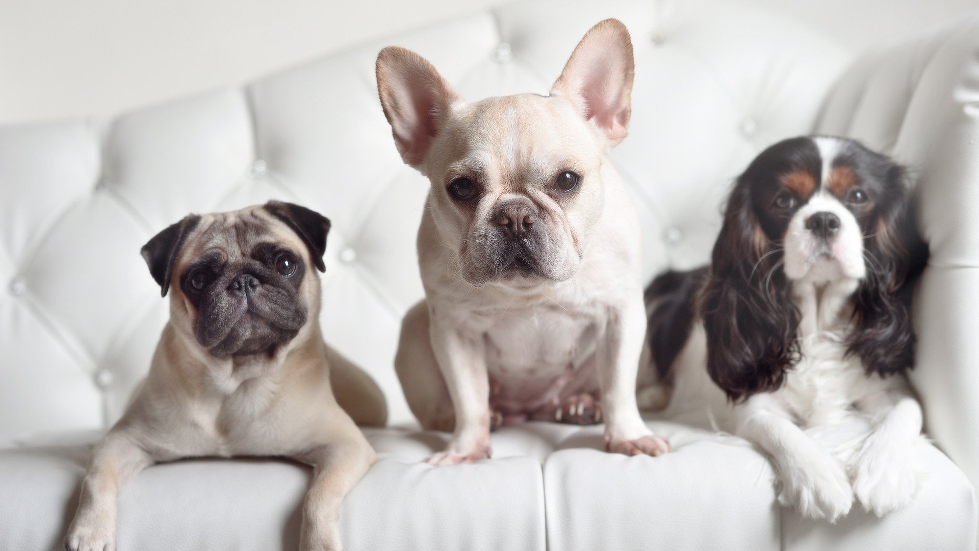 冰火交响曲，当多伦多猛龙在世界杯预演夜吞噬费城