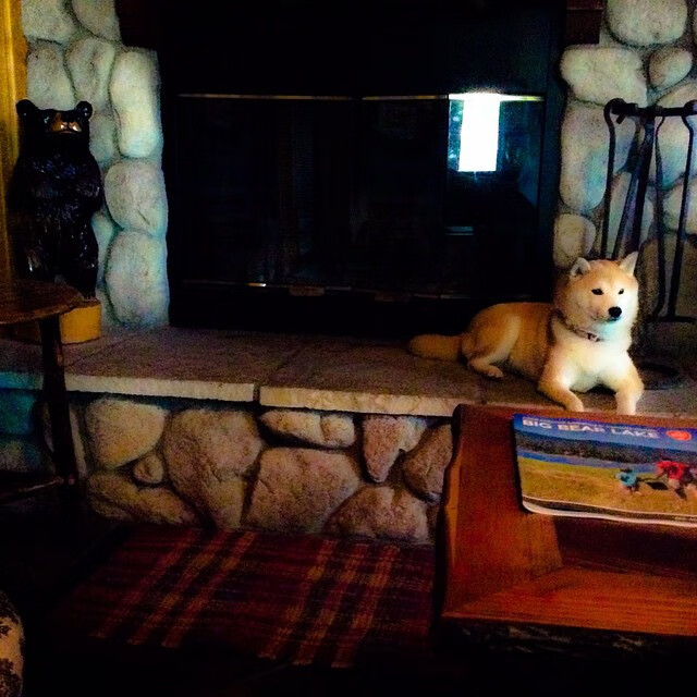 欧文改写传奇之夜，凯尔特人力克浙江闪耀国际赛场