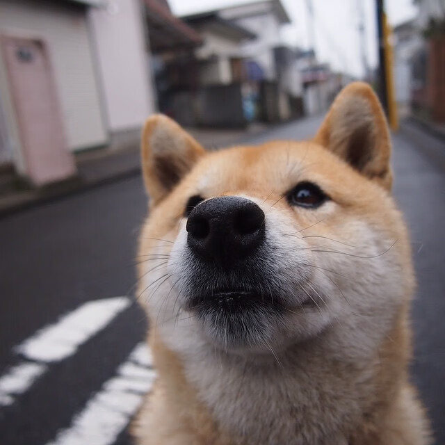 消失的星光，为什么今夜，整个NBA的聚光灯只追随着一个克莱